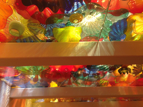 chihuly2